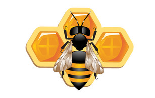 3d bee and Honeycomb