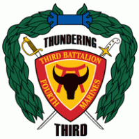 3rd Battalion 4th Marine Regiment USMC