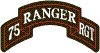 75th Rangers Rgt Coat Of Arms Thumbnail