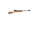 Air Rifle