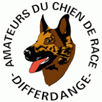 Amateurs du chien race