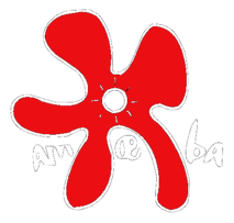 Amoeba