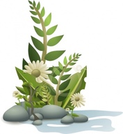 Andy Plants Pebbles And Flowers clip art Thumbnail