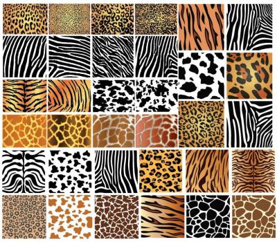 Animal Skin Patterns Thumbnail