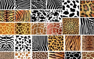 Animal Skin Patterns Thumbnail