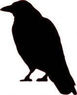 Animals Outline Silhouette Cartoon Birds Bird Crow Flying Animal Crows Thumbnail