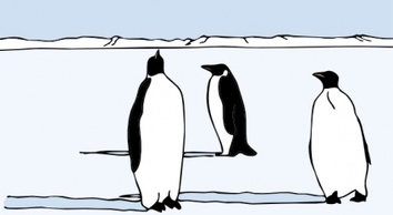 Animals Tux Linux Birds Ice Swim Walk Penguins Pole Thumbnail