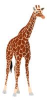 Another Giraffe Thumbnail