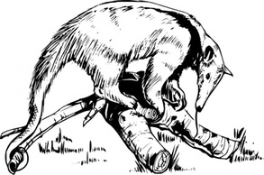 Anteater clip art Thumbnail
