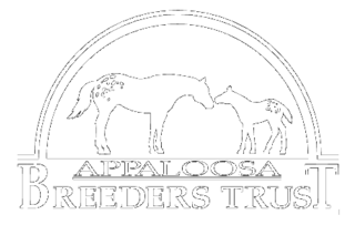 Appaloosa Breeders Trust Thumbnail