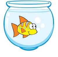 Aquarium Vector