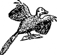 Archaeopteryx clip art Thumbnail