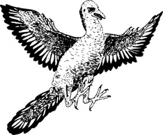 Archaeopteryx clip art Thumbnail