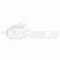 Auto Vinil Thumbnail