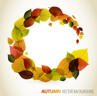 Autumn Backgrounds Vector Thumbnail