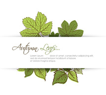 Autumn Leafs with Space for Text Thumbnail