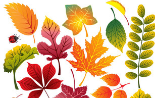 Autumn Leaves 2 Thumbnail