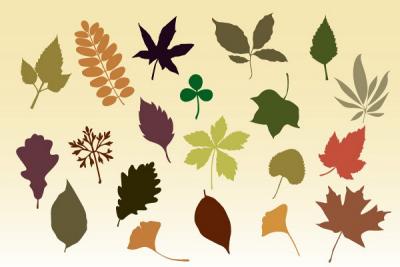 Autumn Leaves Vector Silhouettes Thumbnail