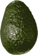 Avocado clip art Thumbnail
