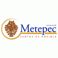 Ayuntamiento de Metepec 2003-2006 Thumbnail