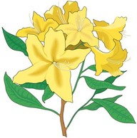 Azaleas Flower Vector