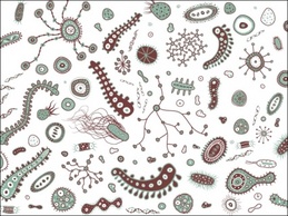 Bacteria and Viruses Vector Thumbnail