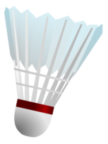 Badminton Shuttlecock