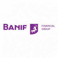 Banif Financial Group Horizontal Positive