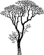 Bare Tree clip art Thumbnail