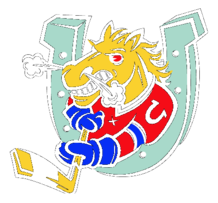 Barrie Colts