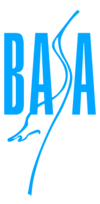 Basa Press