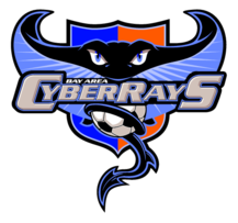 Bay Area Cyberrays