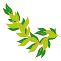 Bay Leaf