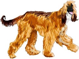 Beautiful Dog Vector 1