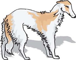 Beautiful Dog Vector 2