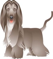 Beautiful Dog Vector 3