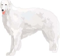 Beautiful Dog Vector 5