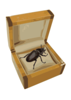 Beetle in a Box
