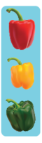 Bell Peppers