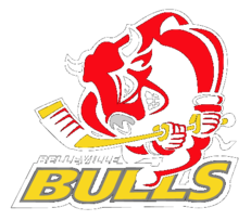 Belleville Bulls