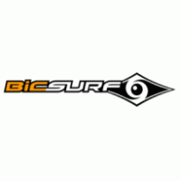 BIC Surf