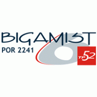 Bigamist VI