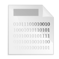 Binary File