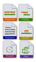 Bioinformatics Icon set
