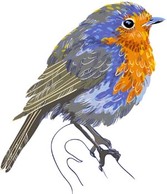 Bird Vector 10