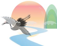 Bird Vector 8