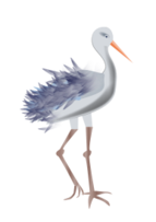 Bird with legs Thumbnail