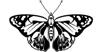 Black and Whine Butterfly vector
