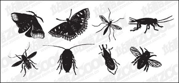 Black and white insect vector material