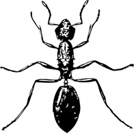 Black Ant Bug Lineart Insect